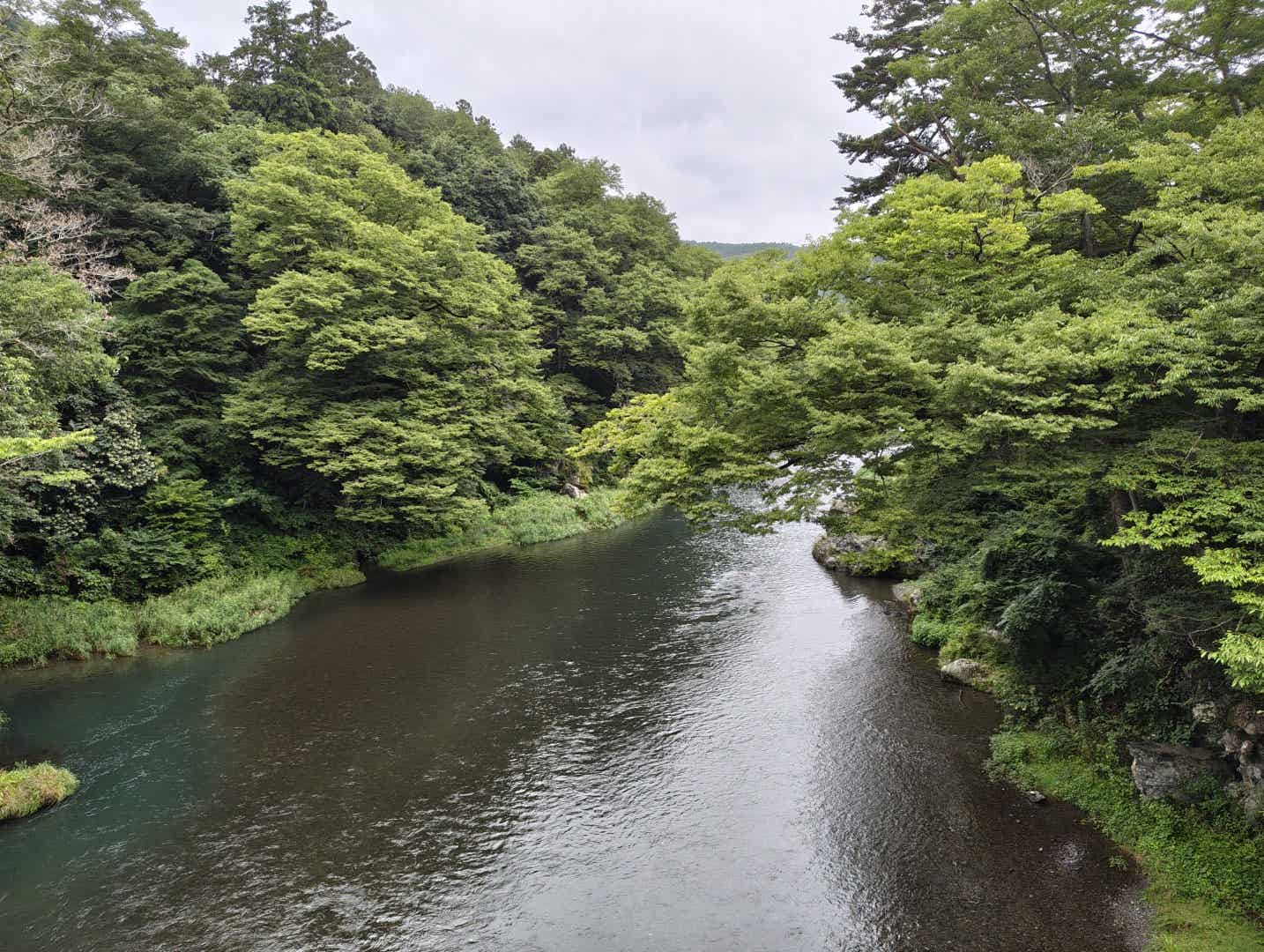 清流ガーデン 澤乃井園のつり橋から眺めた多摩川