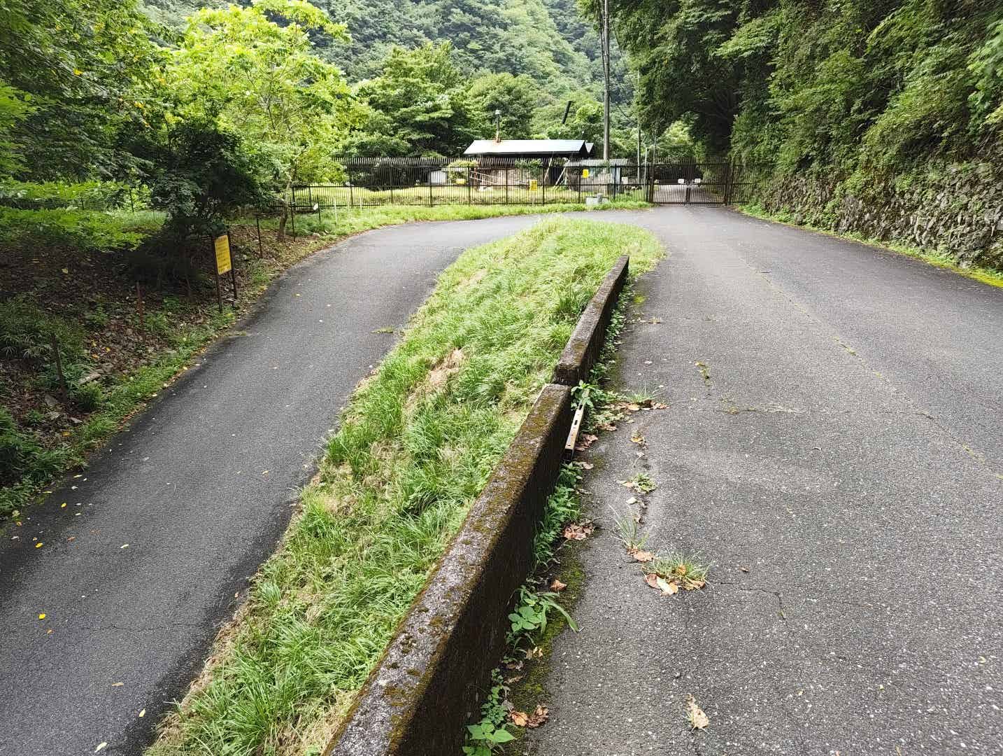 奥多摩むかし道のうねる道