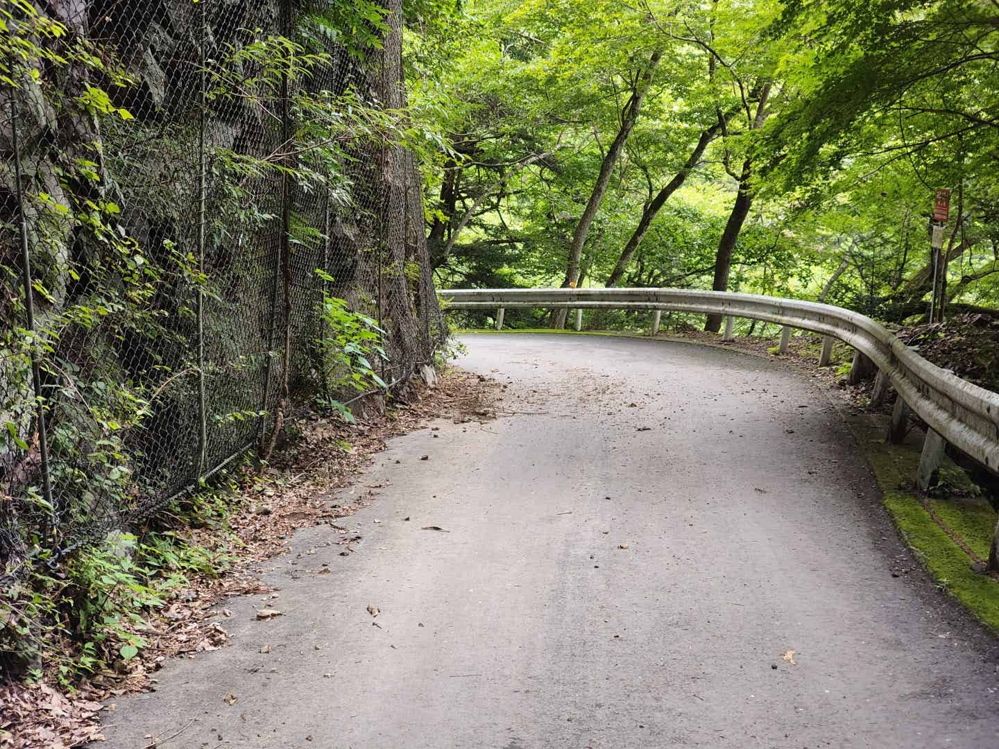 奥多摩むかし道の落石