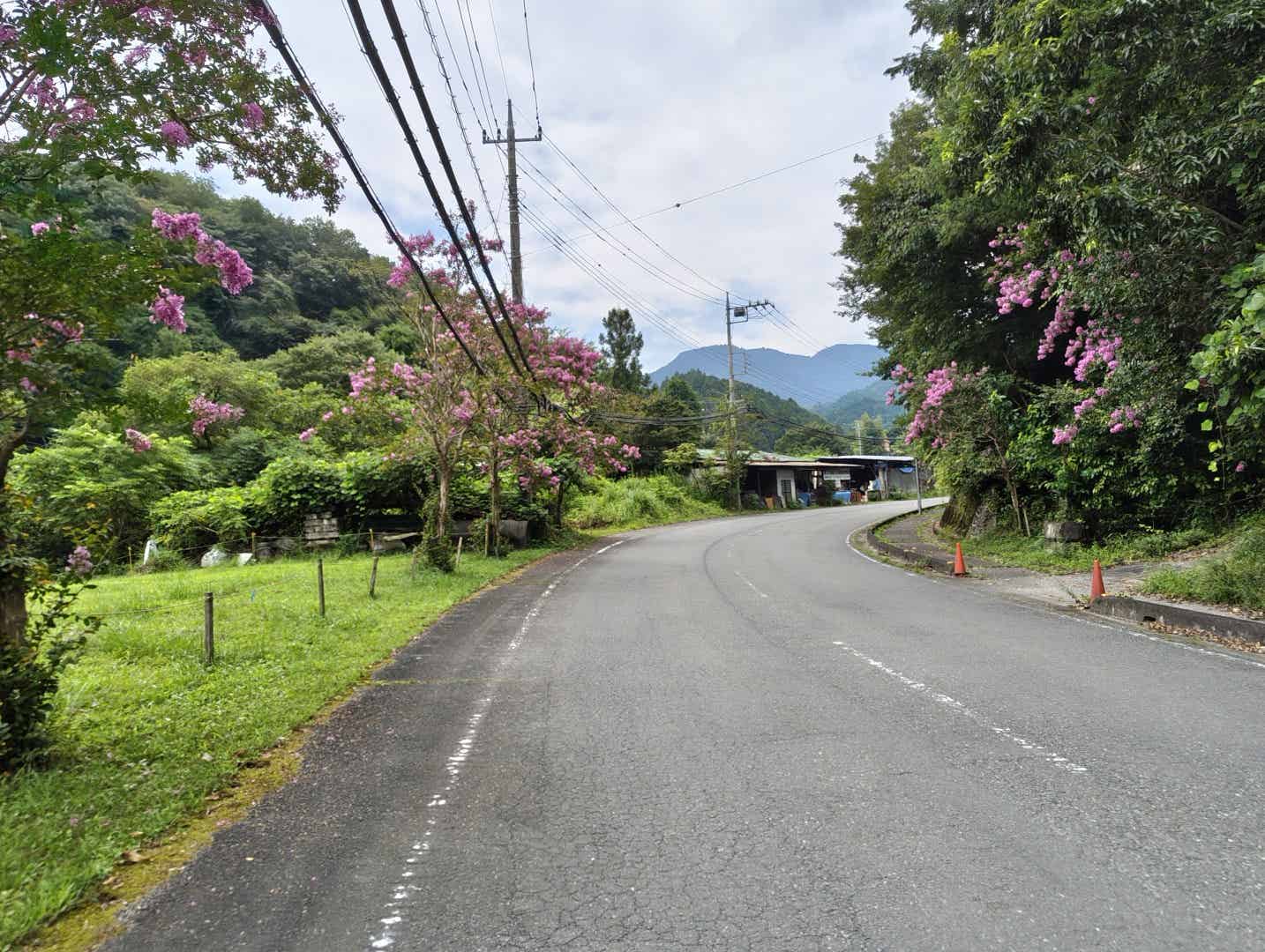 コンビニが少ない越生町の道路沿い