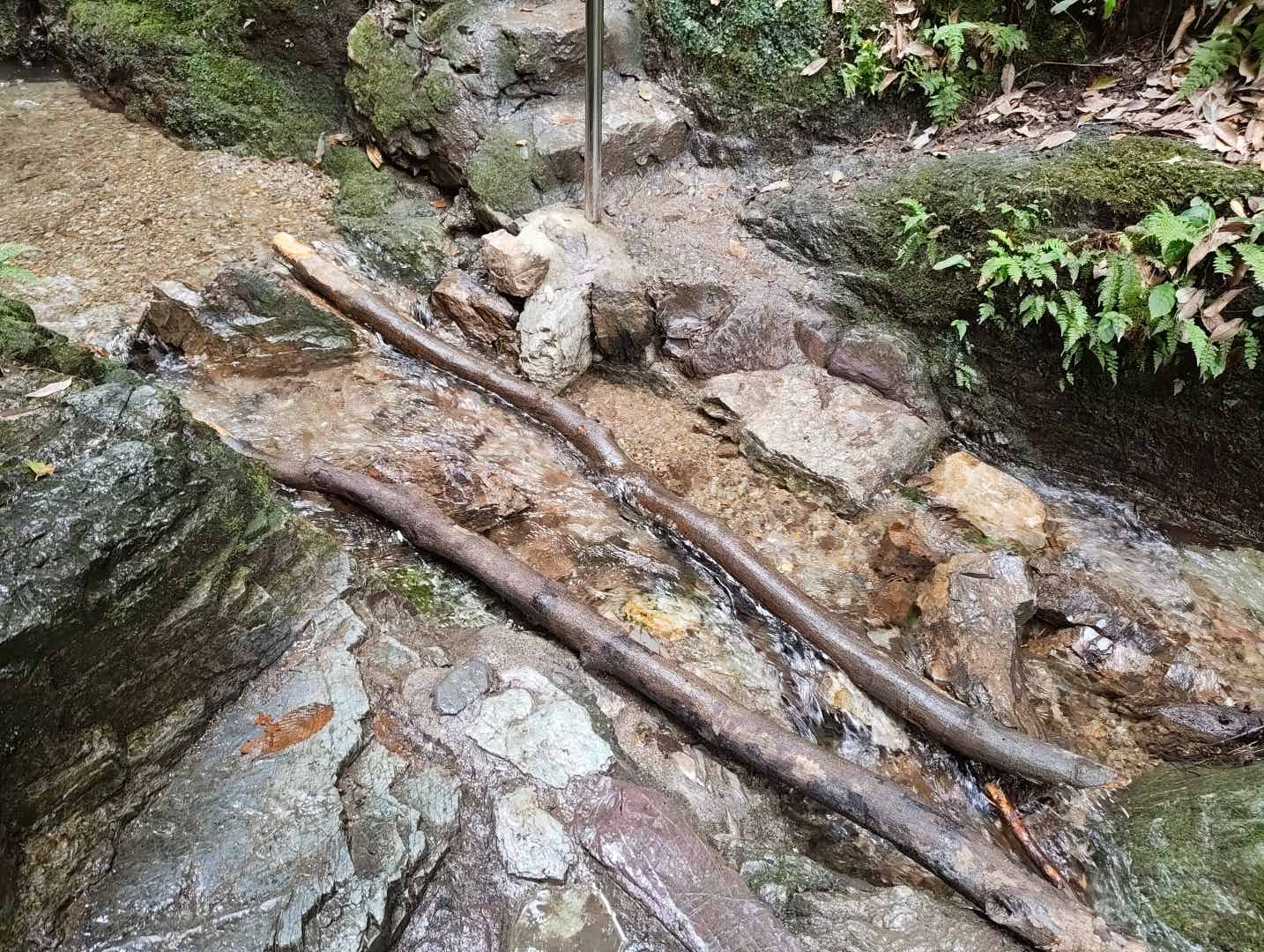 天狗滝の流木