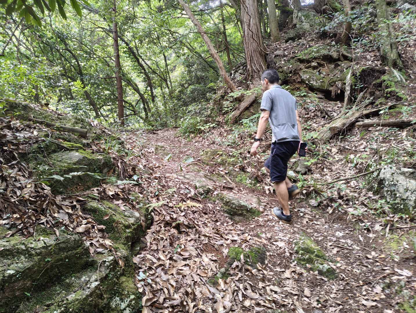 黒山三滝の山道