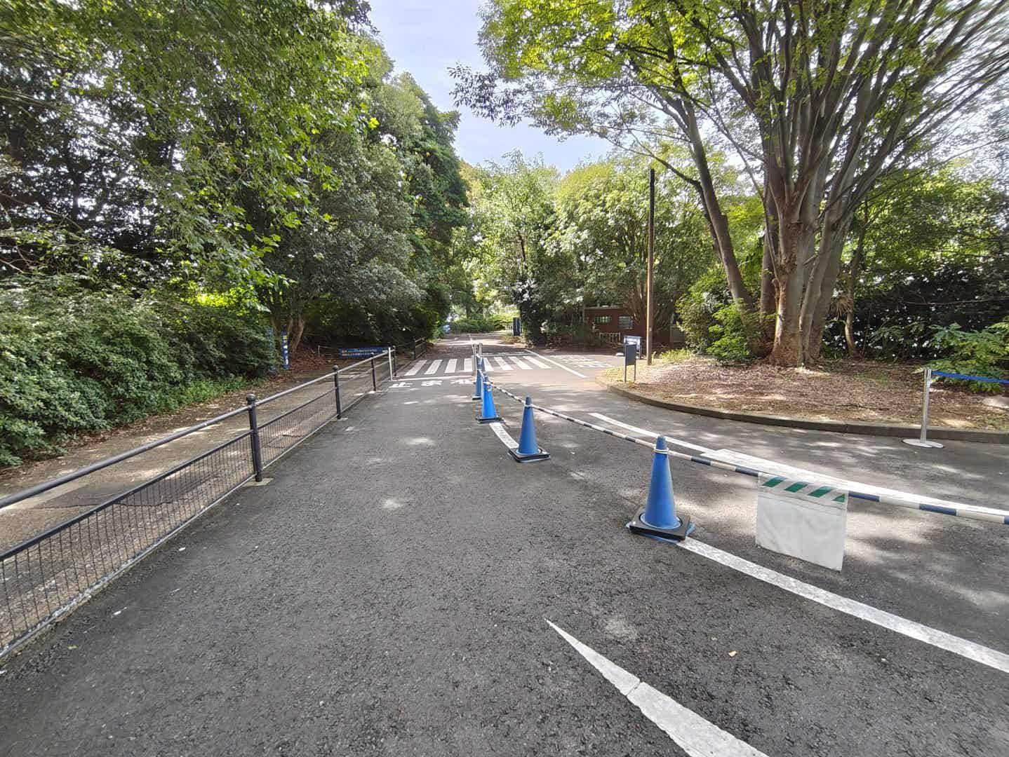 昭和記念公園のサイクリングコース