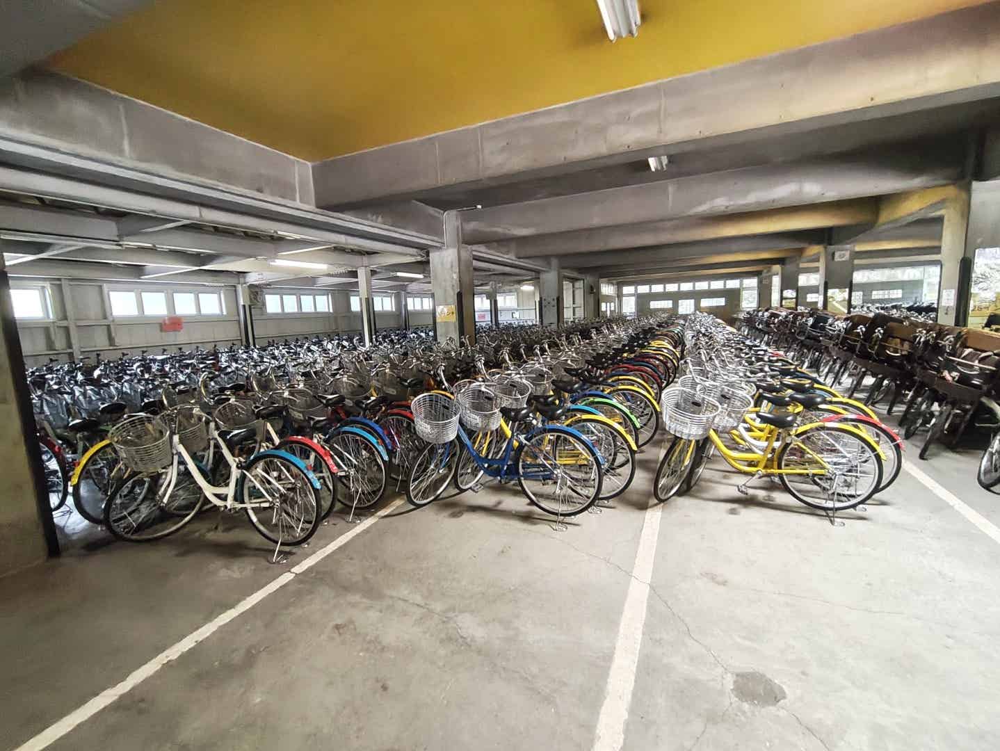 昭和記念公園のレンタサイクル