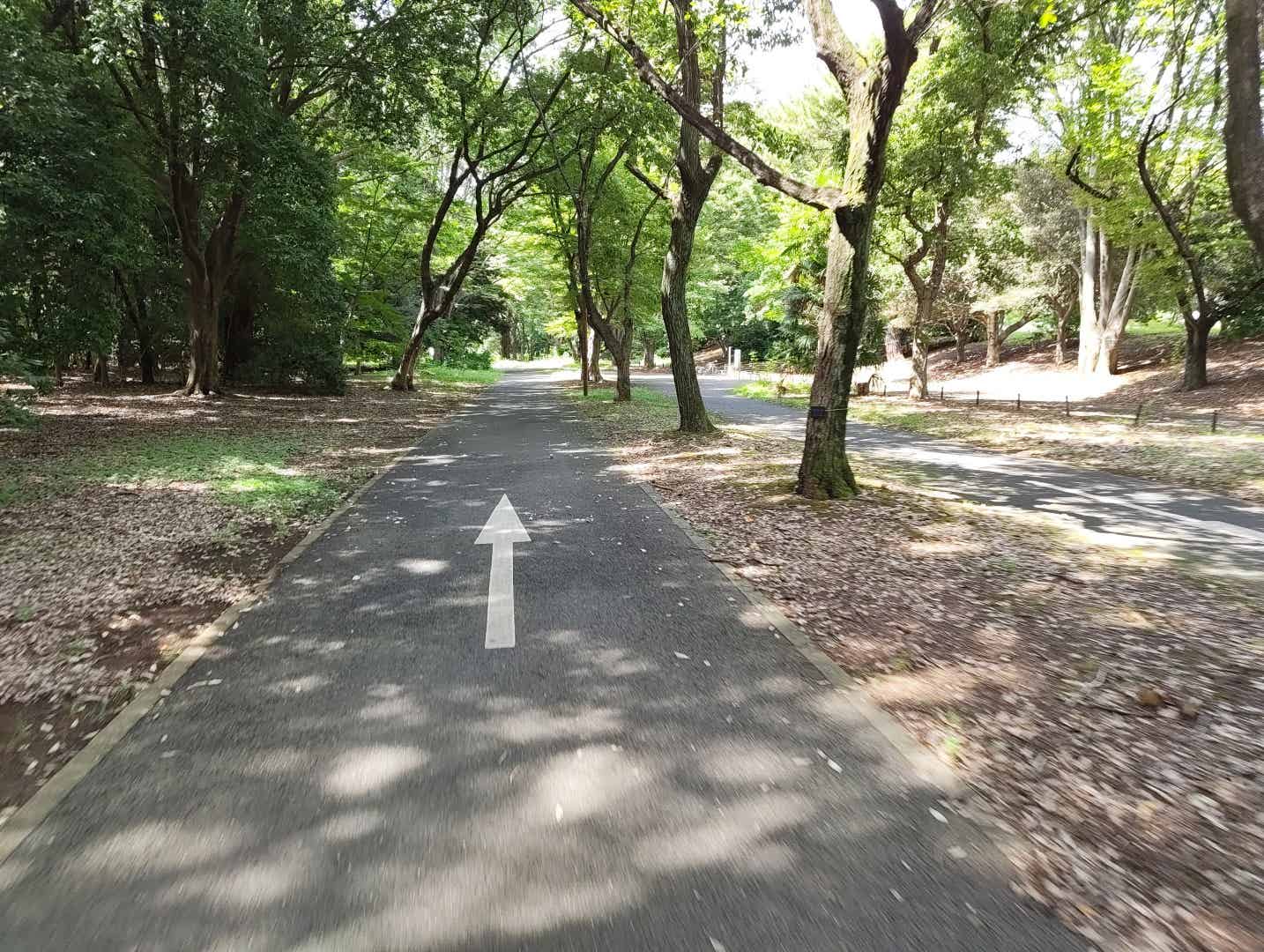 昭和記念公園のサイクリングコースの路面