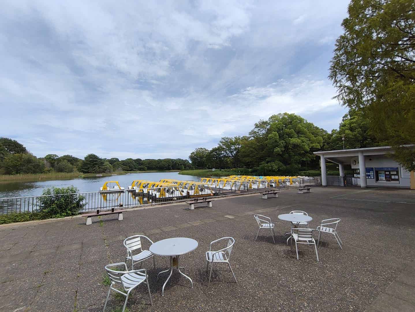 昭和記念公園の水鳥の池