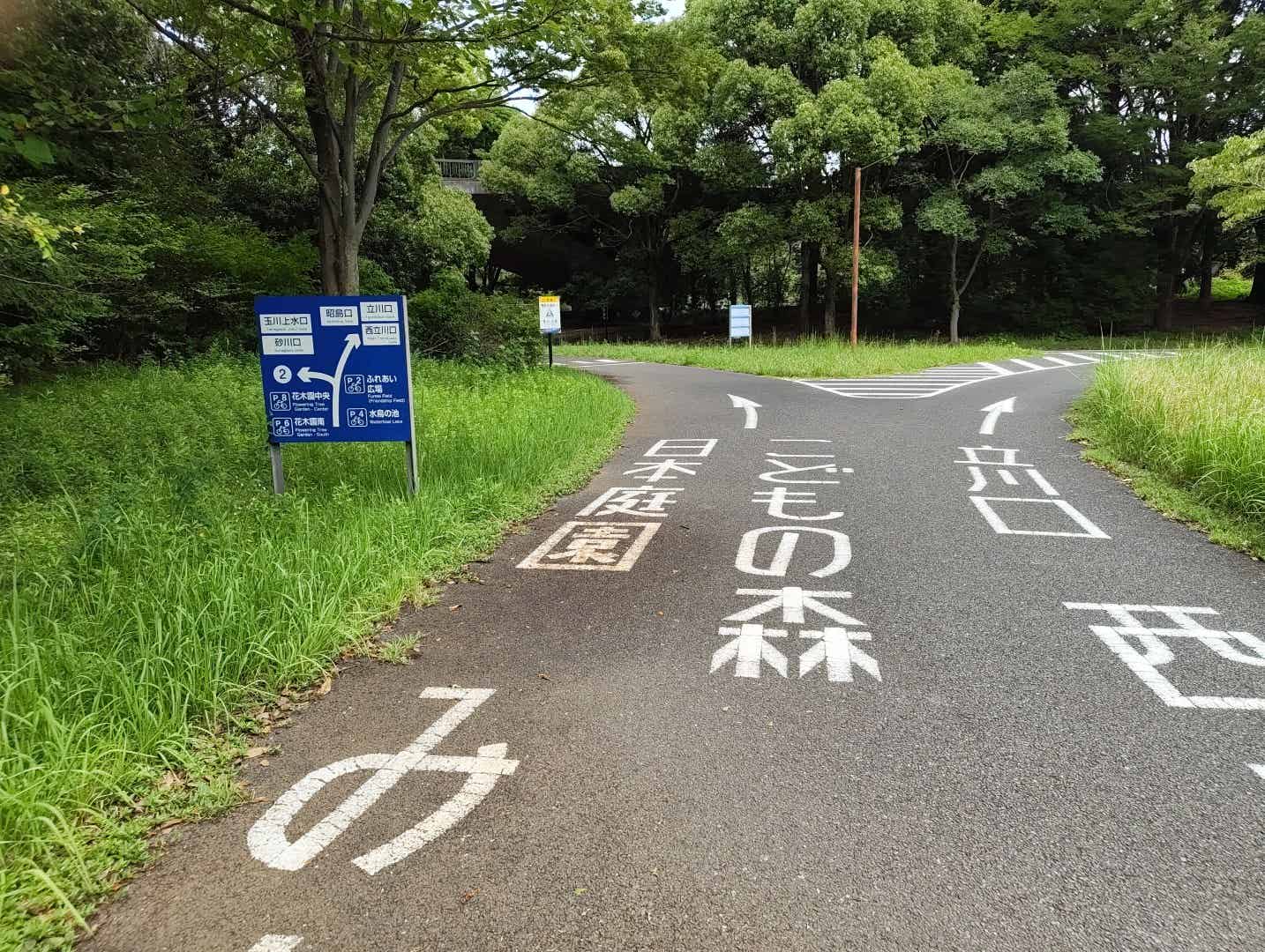 昭和記念公園の分岐