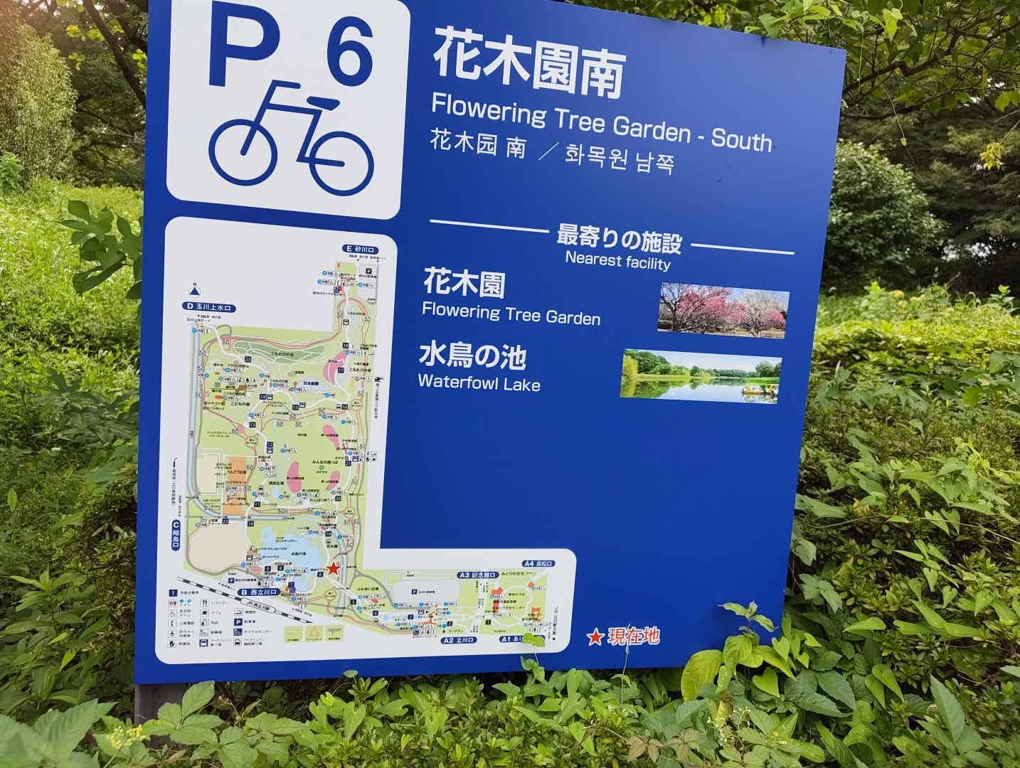昭和記念公園サイクリングコースの花木園南の駐輪場