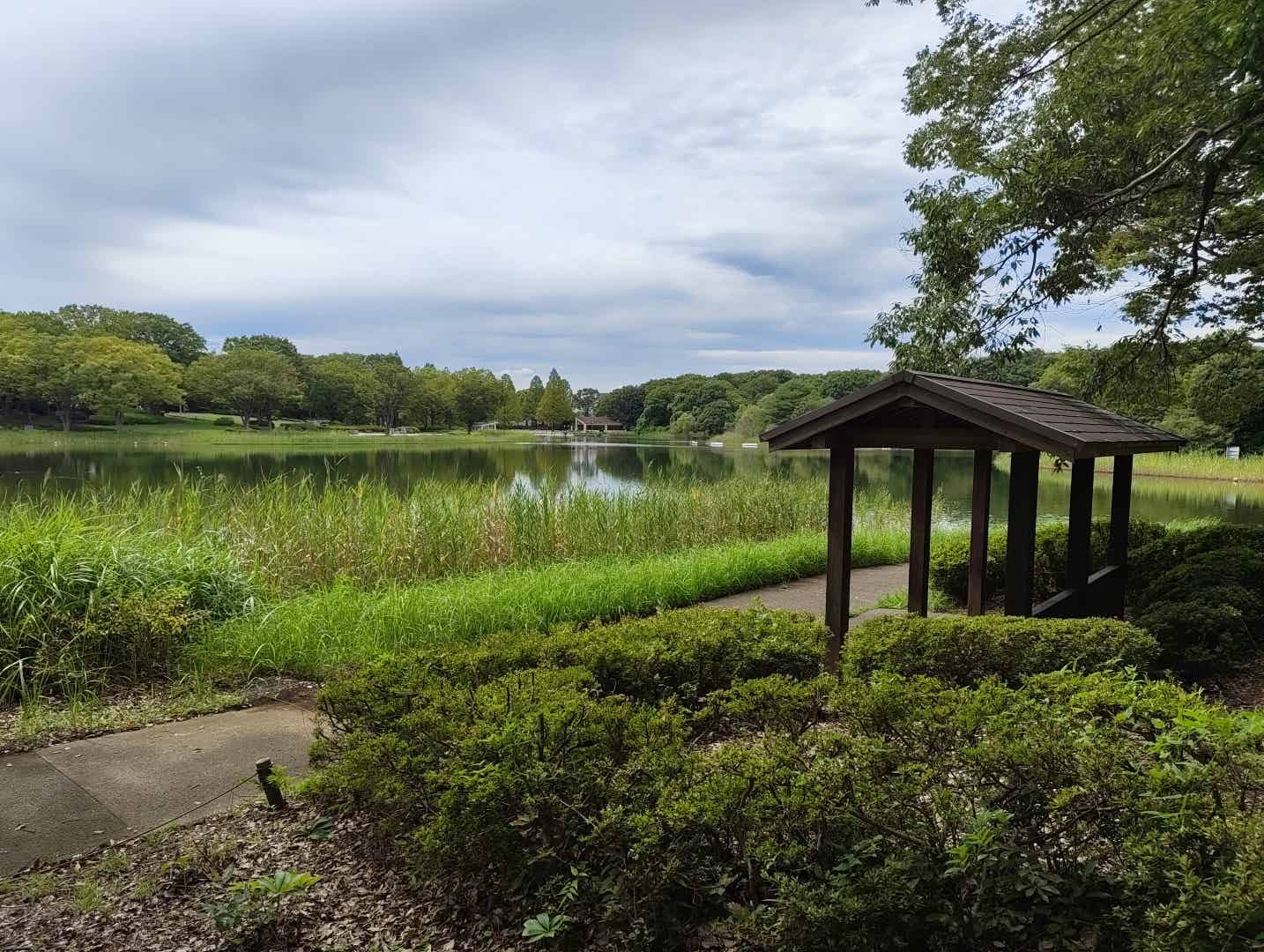 昭和記念公園の花木園