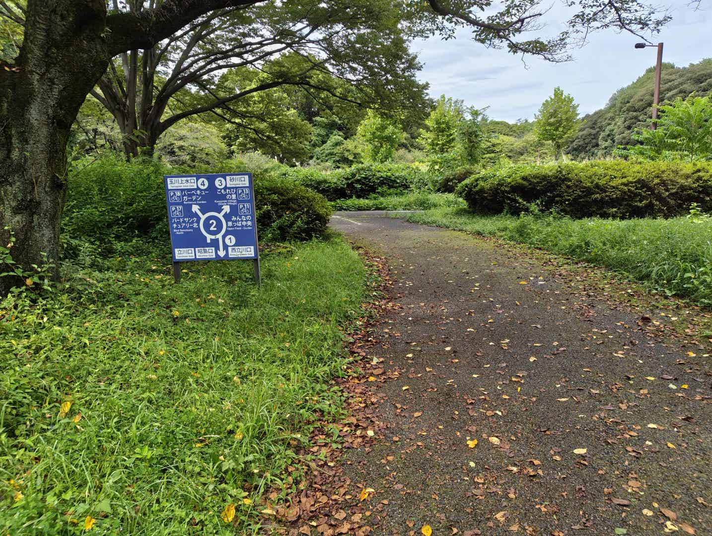 ルートの分岐