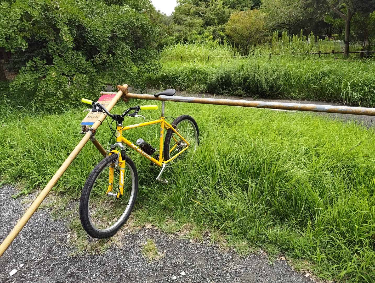 昭和記念公園のサイクルラック