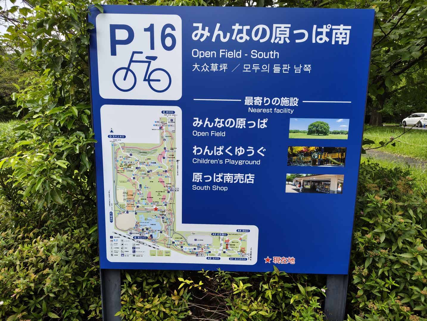 みんなの原っぱ南の駐輪場