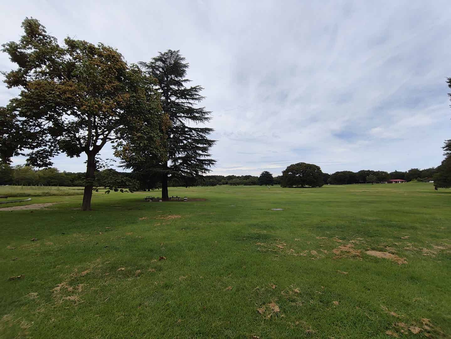 昭和記念公園のみんなの原っぱ