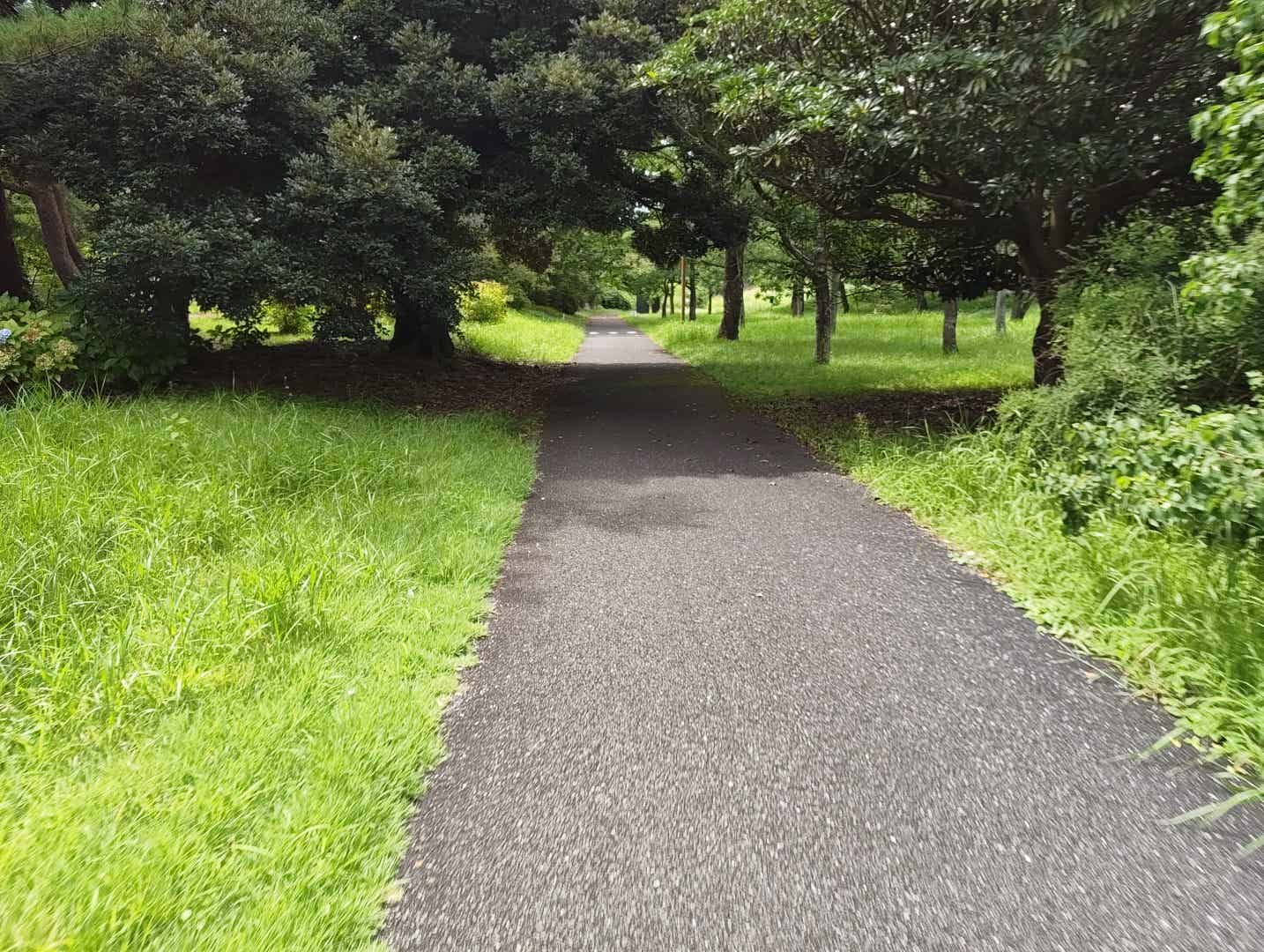 昭和記念公園のサイクリングコース