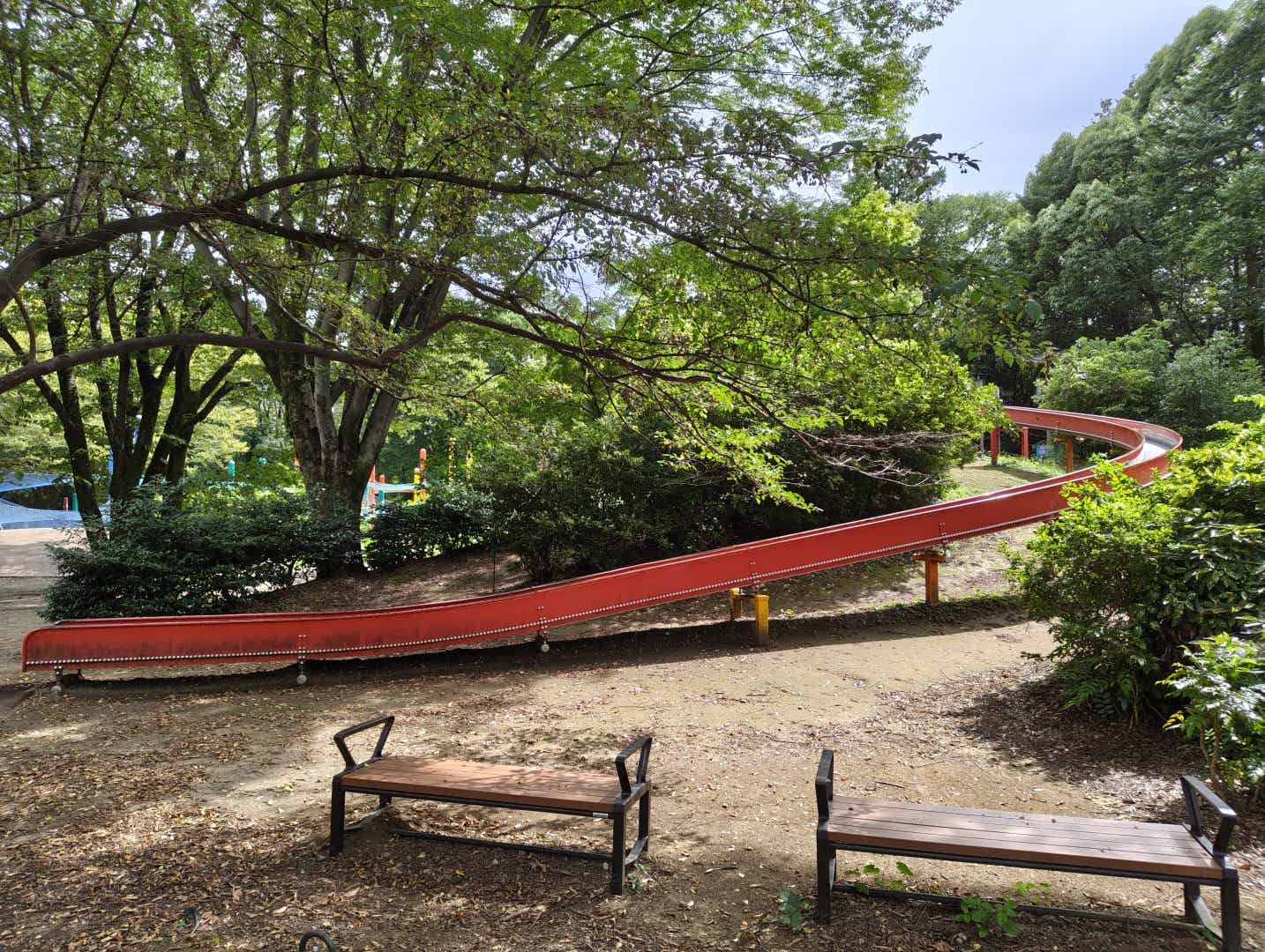 昭和記念公園のこどもの森の滑り台