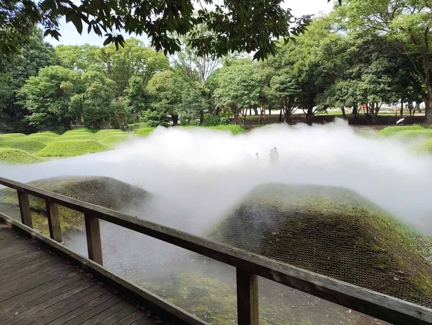 子どもの森の中の霧の森