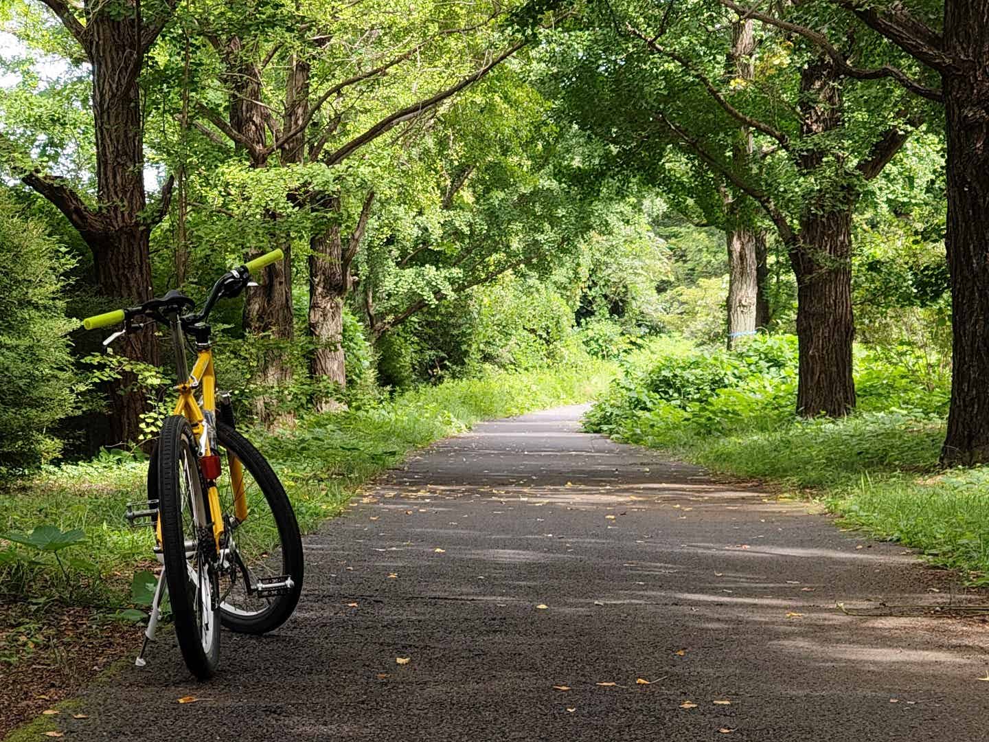 昭和記念公園のサイクリングコース