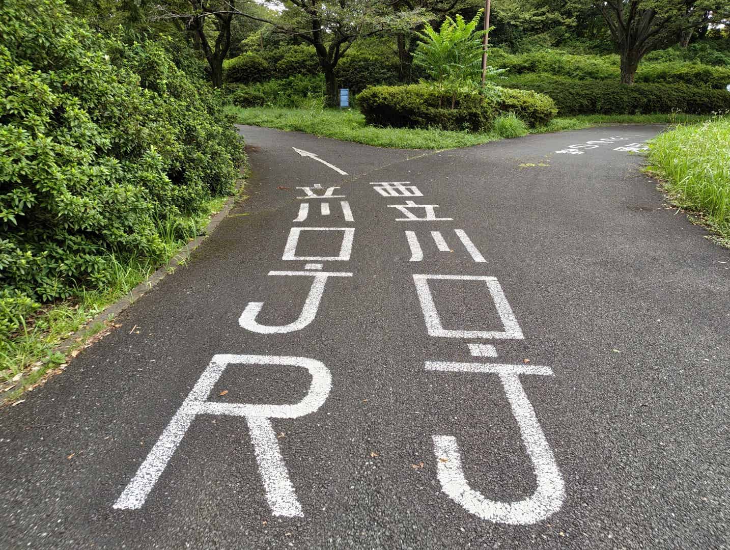 昭和記念公園のサイクリングコースの立川口方面