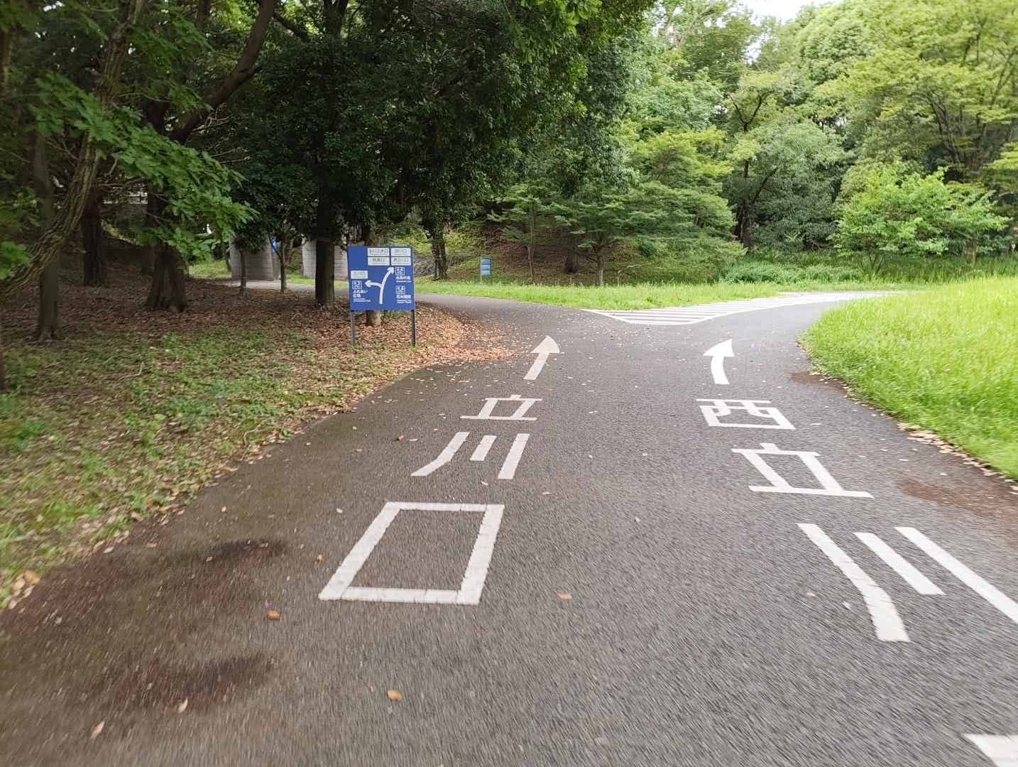 昭和記念公園サイクリングコースの分岐