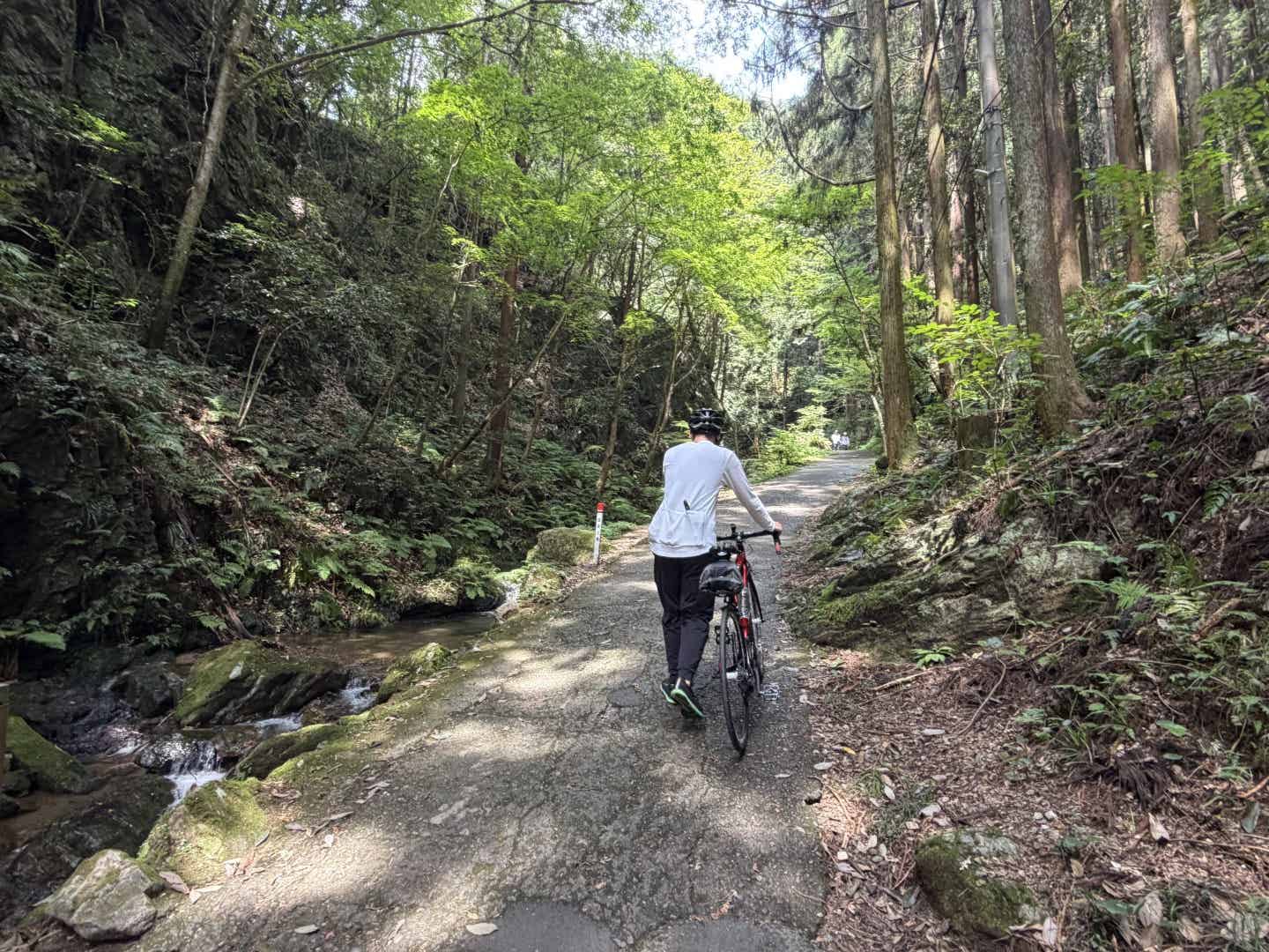 黒山三滝を自転車を押して歩く筆者