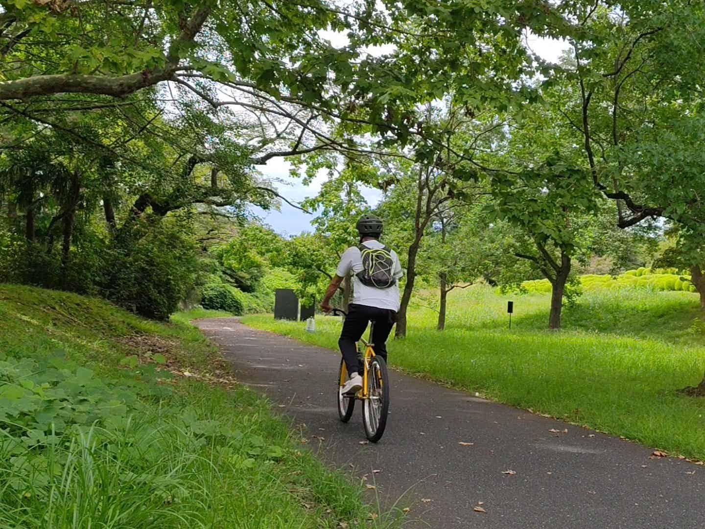 昭和記念公園をサイクリングする筆者
