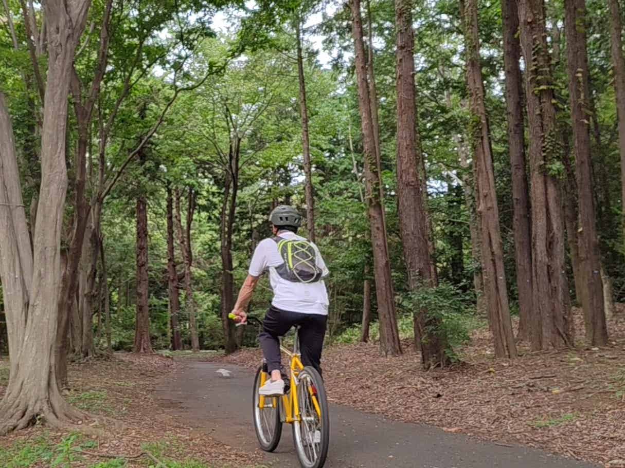 平坦で走りやすい昭和記念公園のサイクリングコース