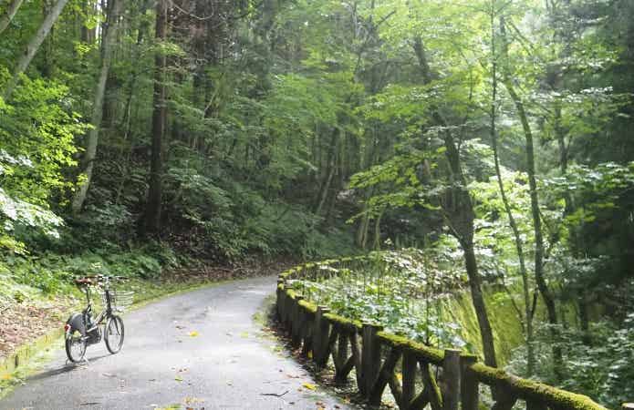 山の小道