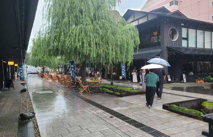 雨の御殿堰