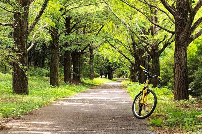 東京ドーム38個分！広大な「昭和記念公園」は自転車で回るのが楽しい