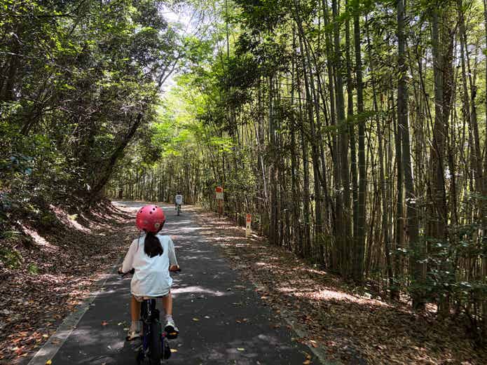 森林公園のサイクリングコースを走る子ども