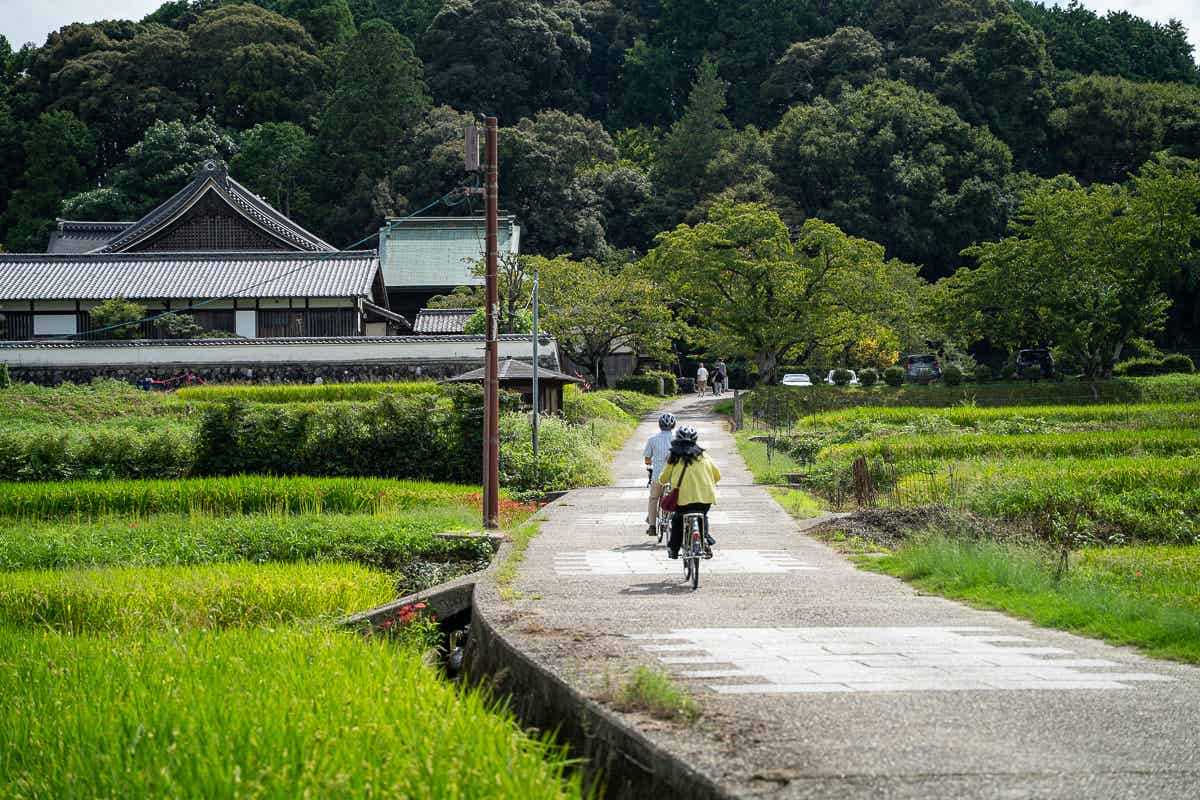 田園地帯の道を走る2人のサイクリスト