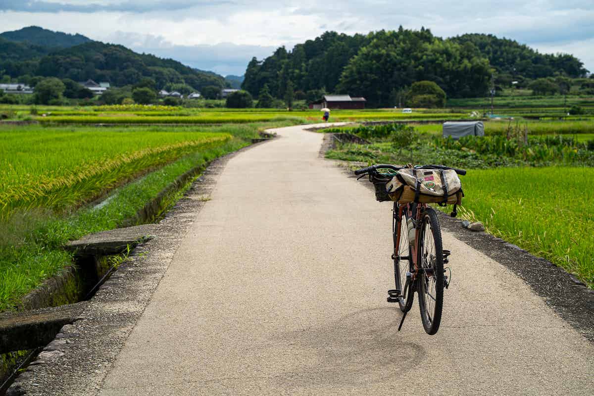 稲田の間の道に停めた自転車と山並みの景色