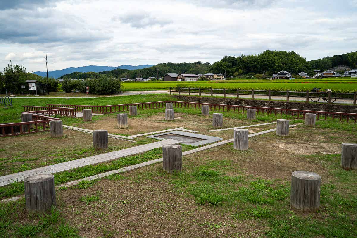規則正しく並んだ木の杭（飛鳥水落遺跡）
