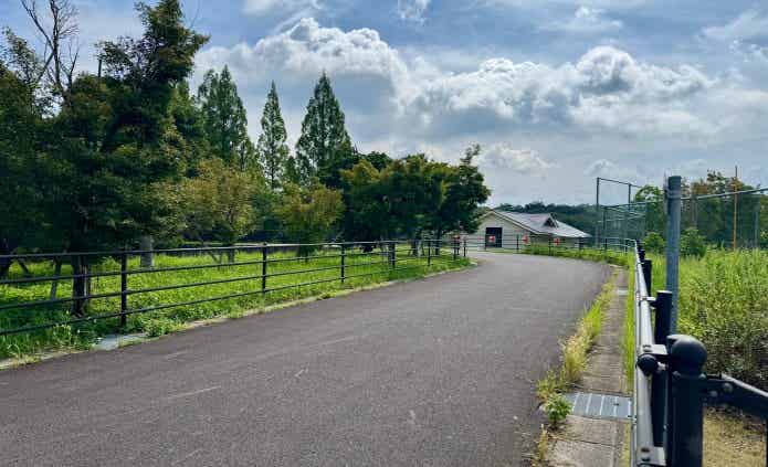 モリコロパークサイクリングコースの広い道