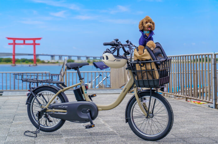 浜名湖で「わんこと乗れるレンタサイクル」が10月スタート！愛犬と湖畔観光を楽しめます