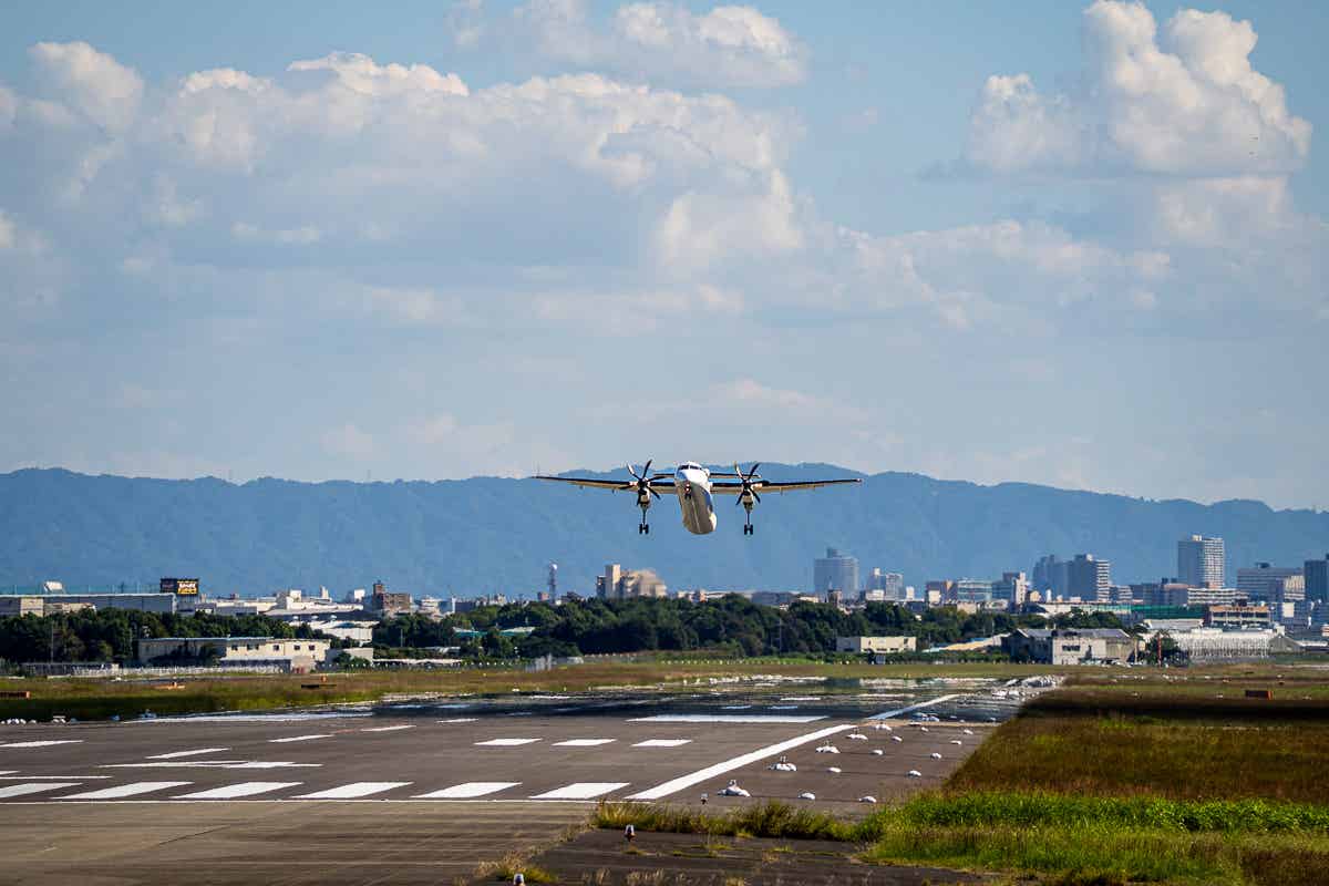 伊丹空港の滑走路から飛び立つ旅客機