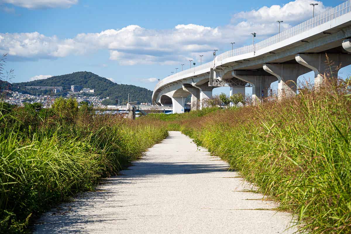 北摂の山々に向かって延びる猪名川サイクリングロード