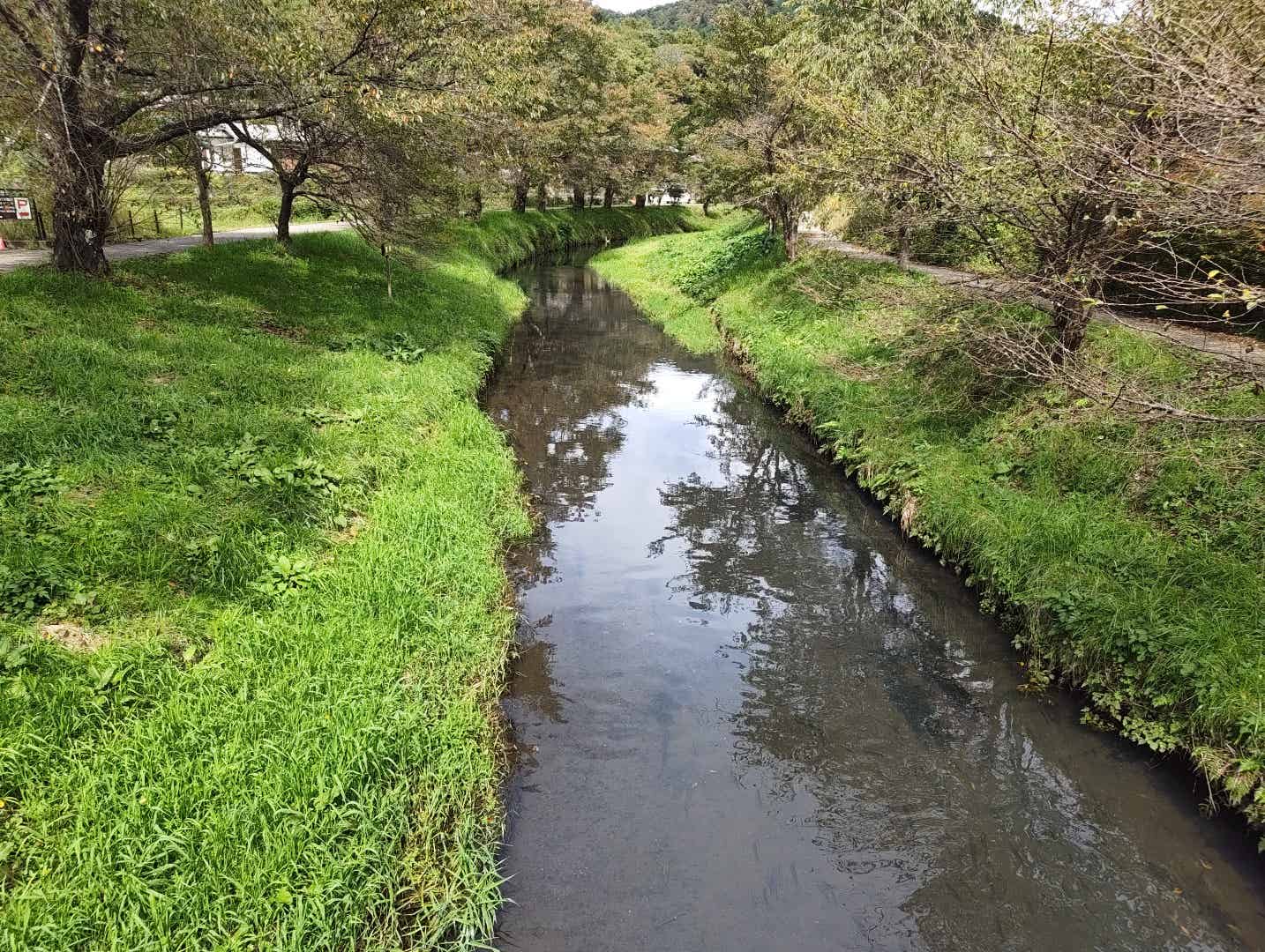 忍野八海の近くを流れる小川