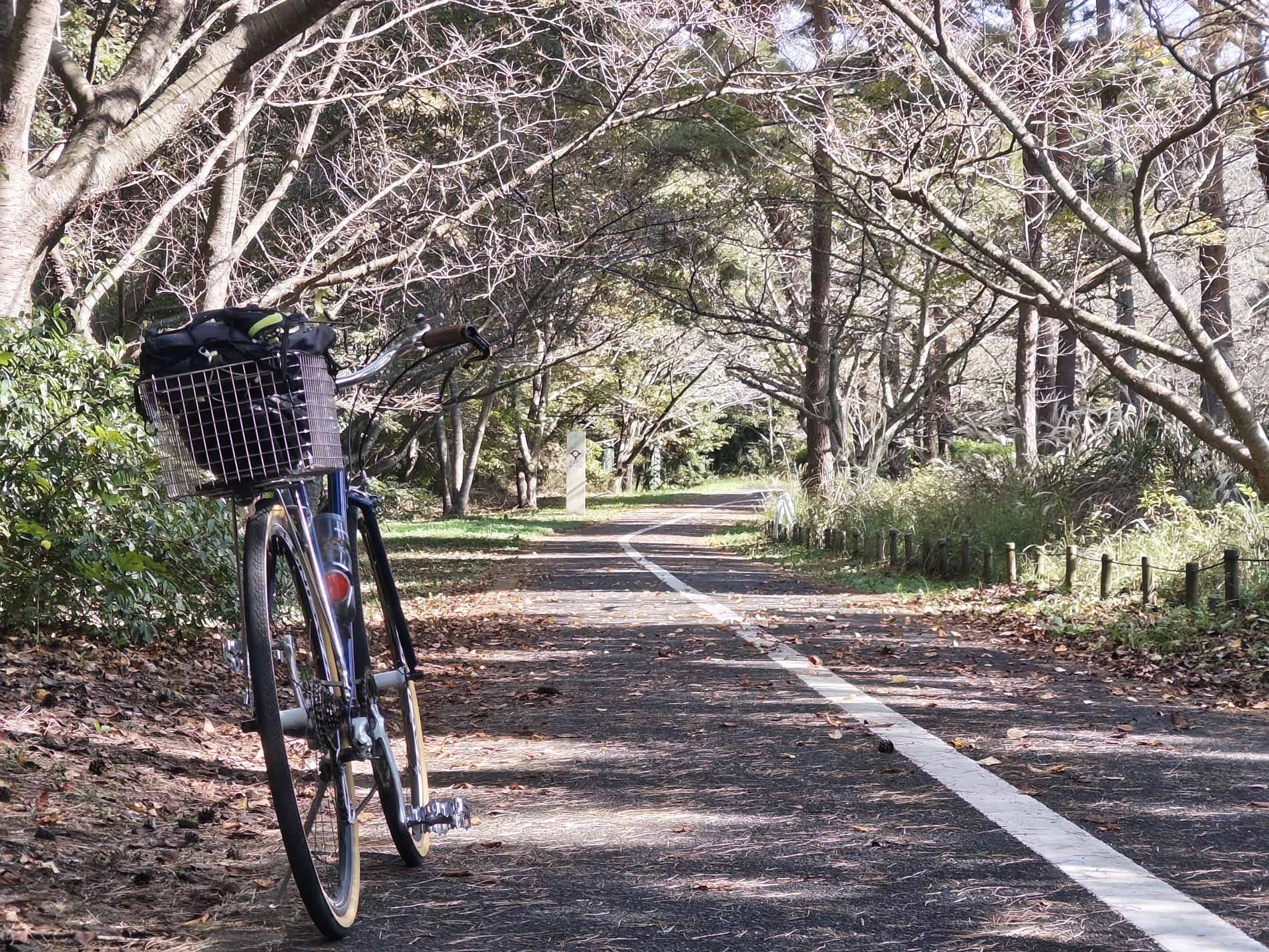 ひたち海浜公園の持ち込み自転車