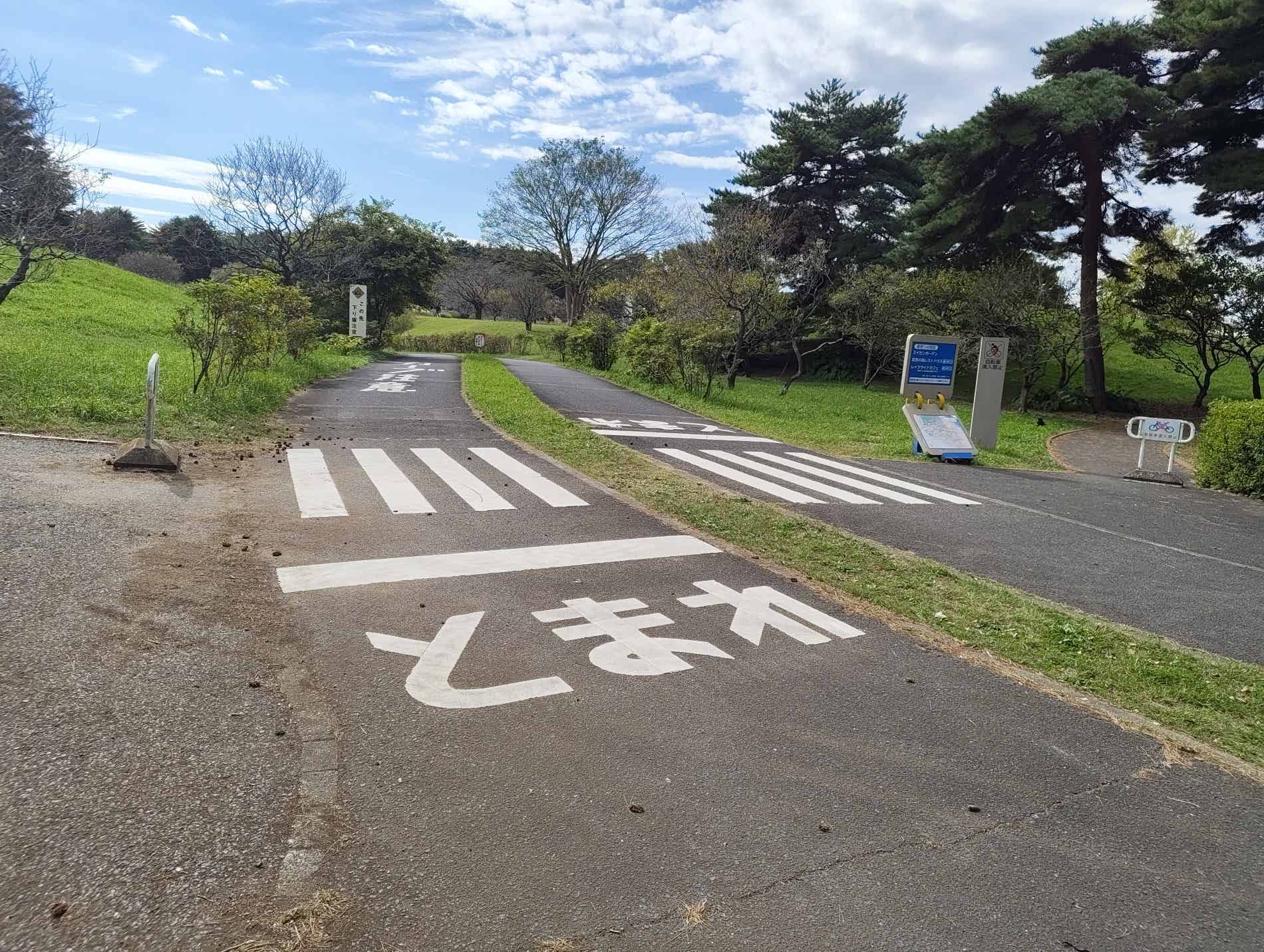 サイクリングコースの横断歩道と止まれ