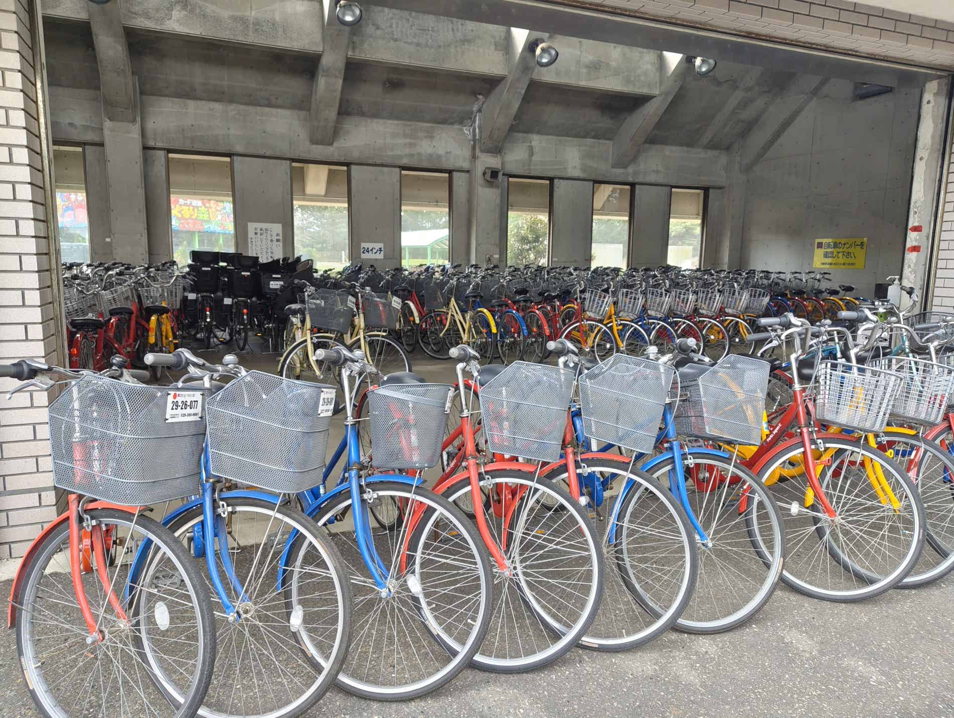 ひたち海浜公園のレンタサイクル