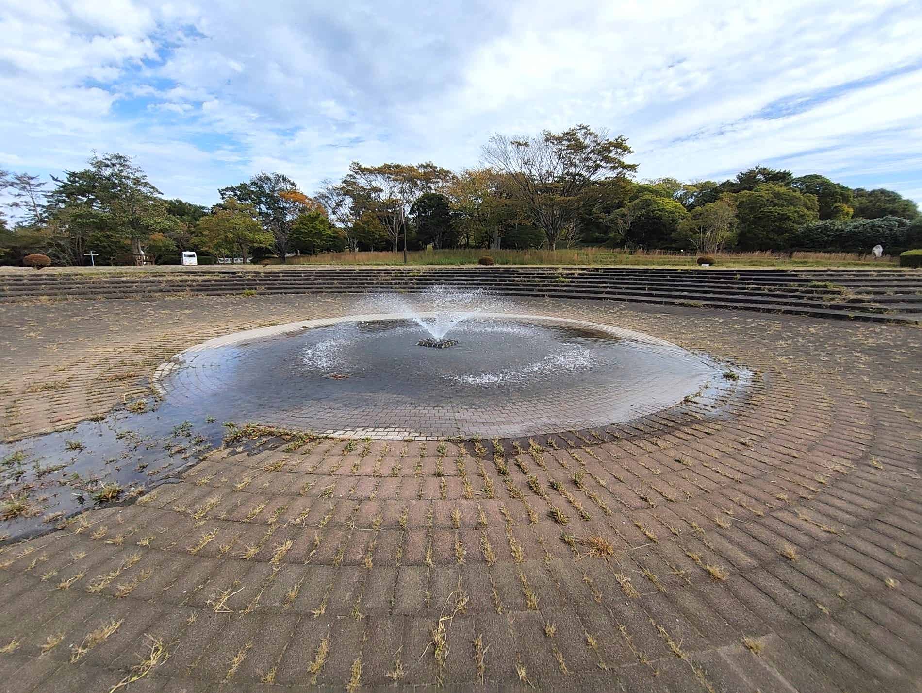 ひたち海浜公園の泉の広場フラワーガーデン