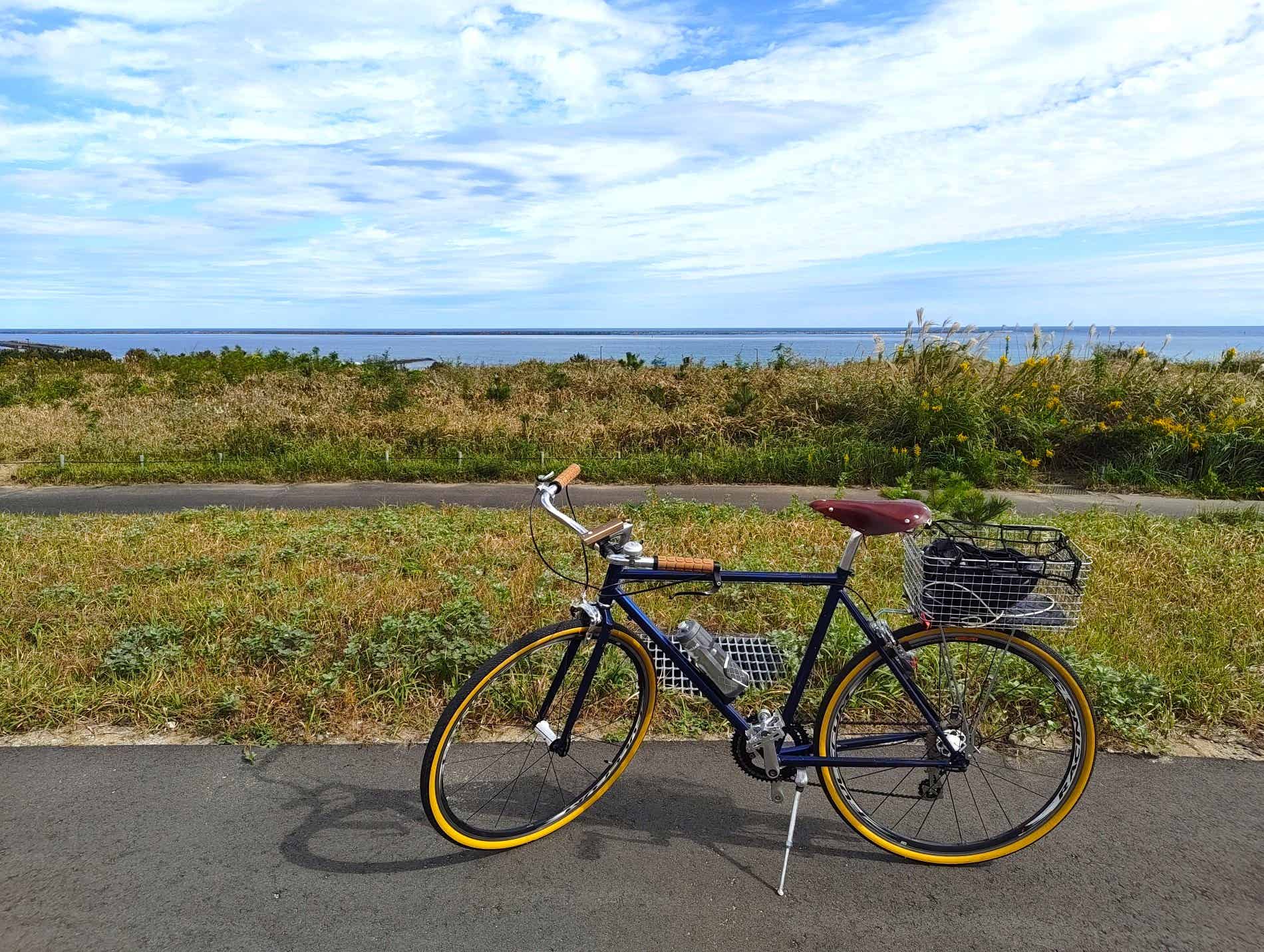 ひたち海浜公園のサイクリングコースから見える海