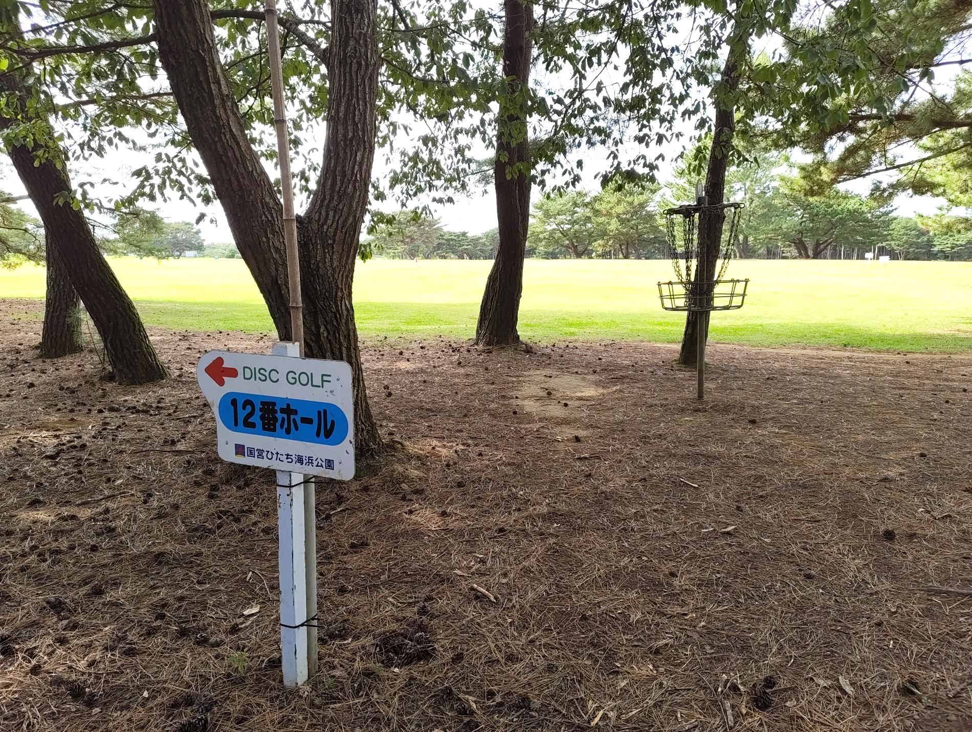 大草原のディスクゴルフコース