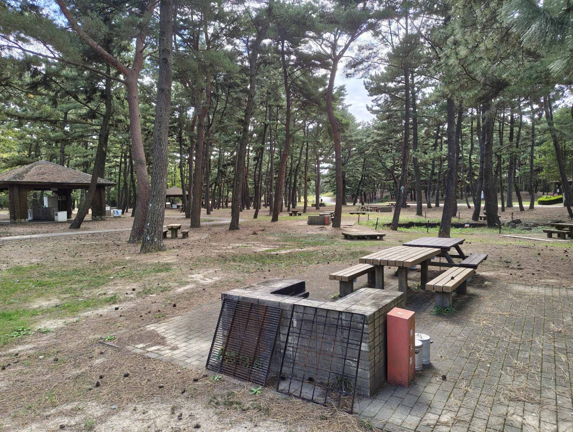 ひたち海浜公園のバーベキュー広場