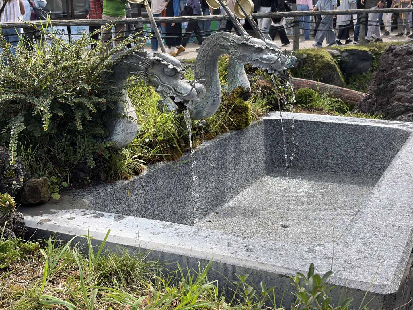 忍野八海の湧き水
